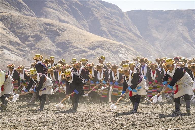 西藏今年力争粮食产量稳定在100万吨以上